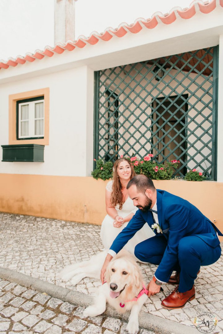 casamento rustico com cao de alianças