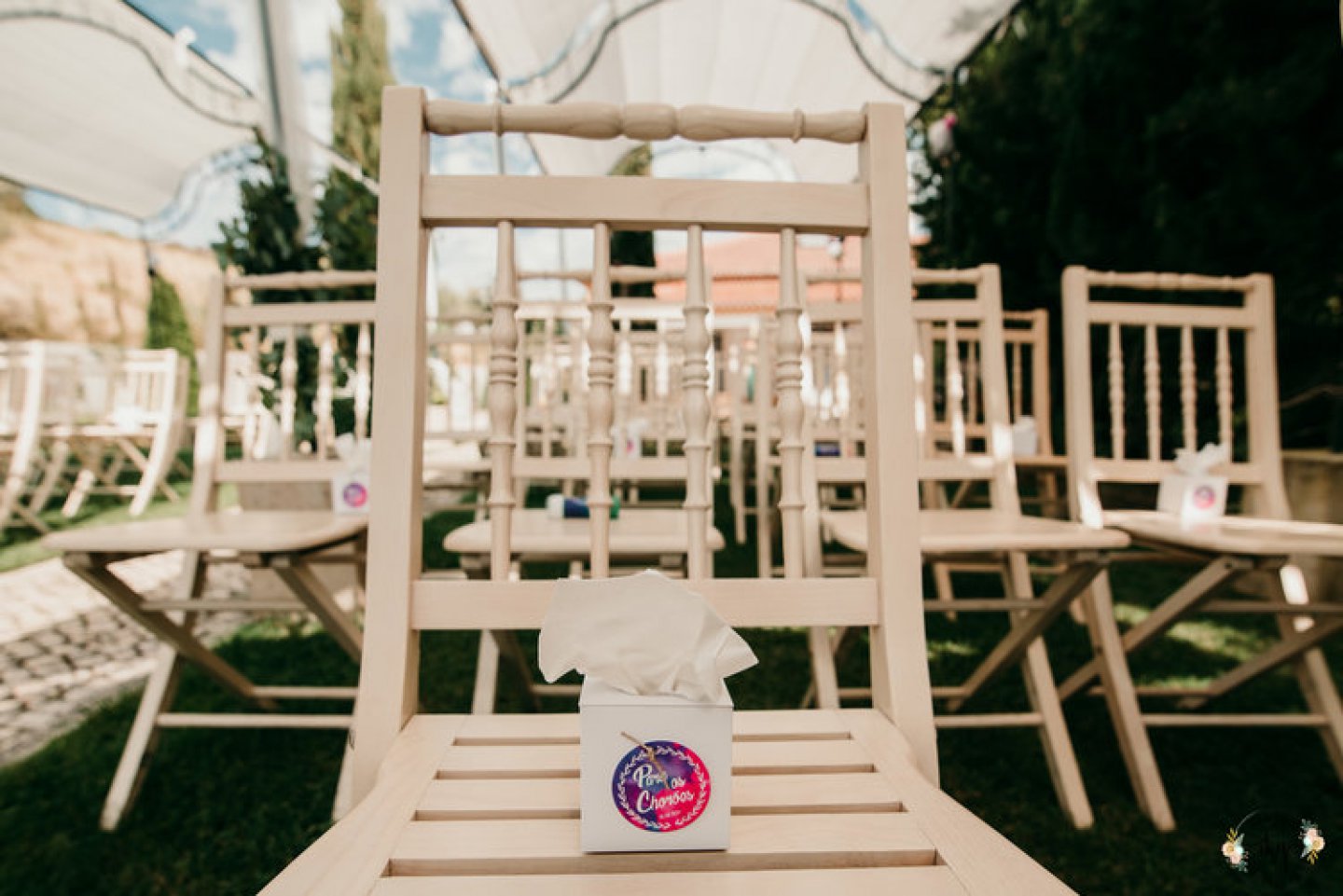 casamento rustico com cao de alianças