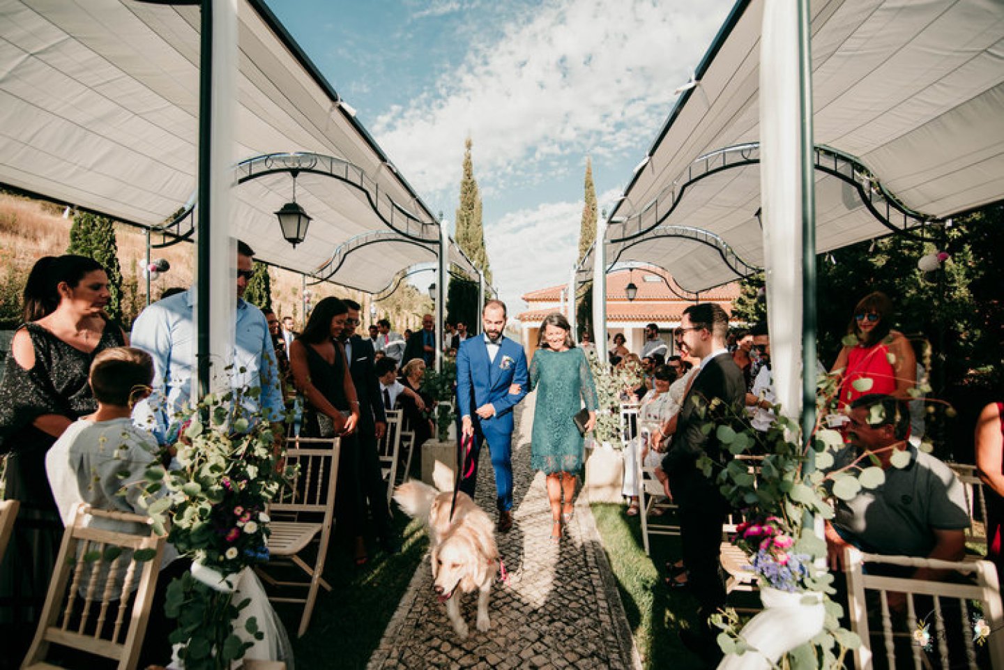 casamento rustico com cao de alianças