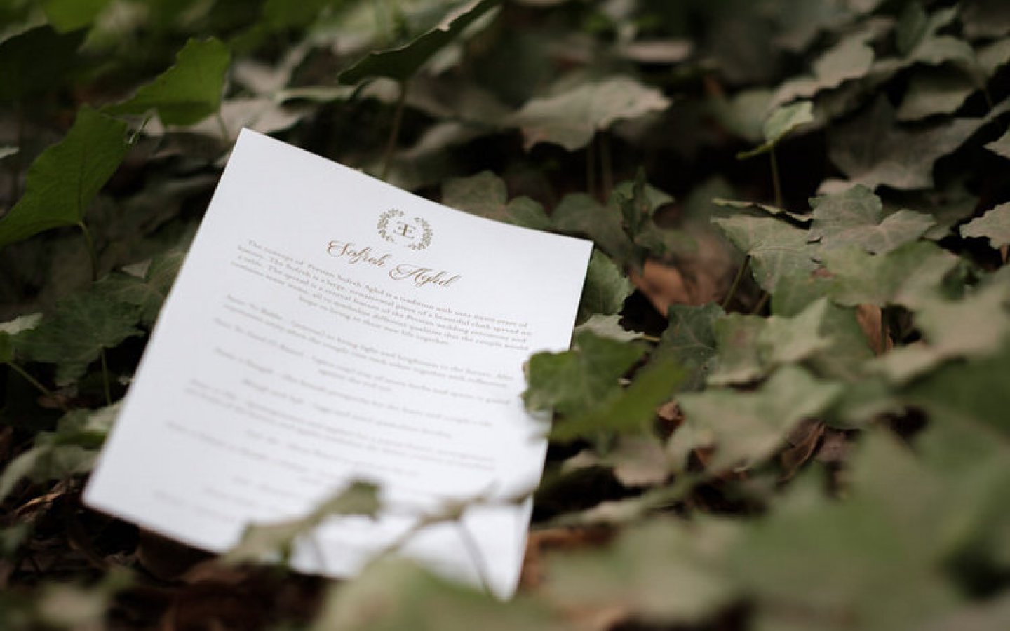 casamento persa portugal