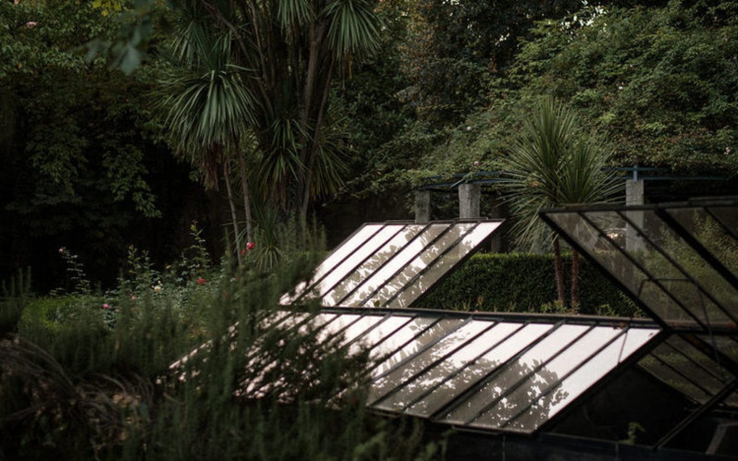 casamento persa portugal