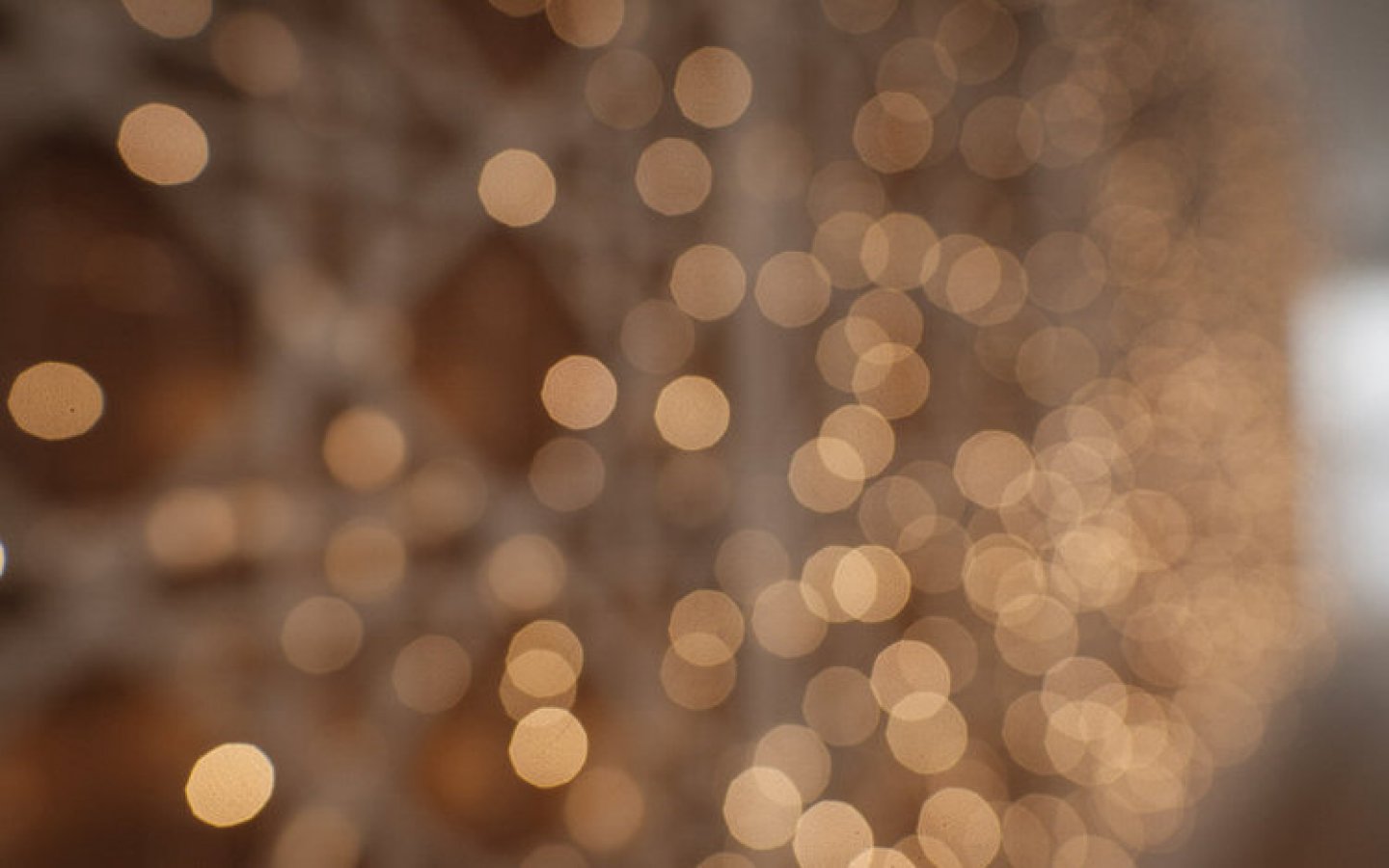 casamento persa portugal