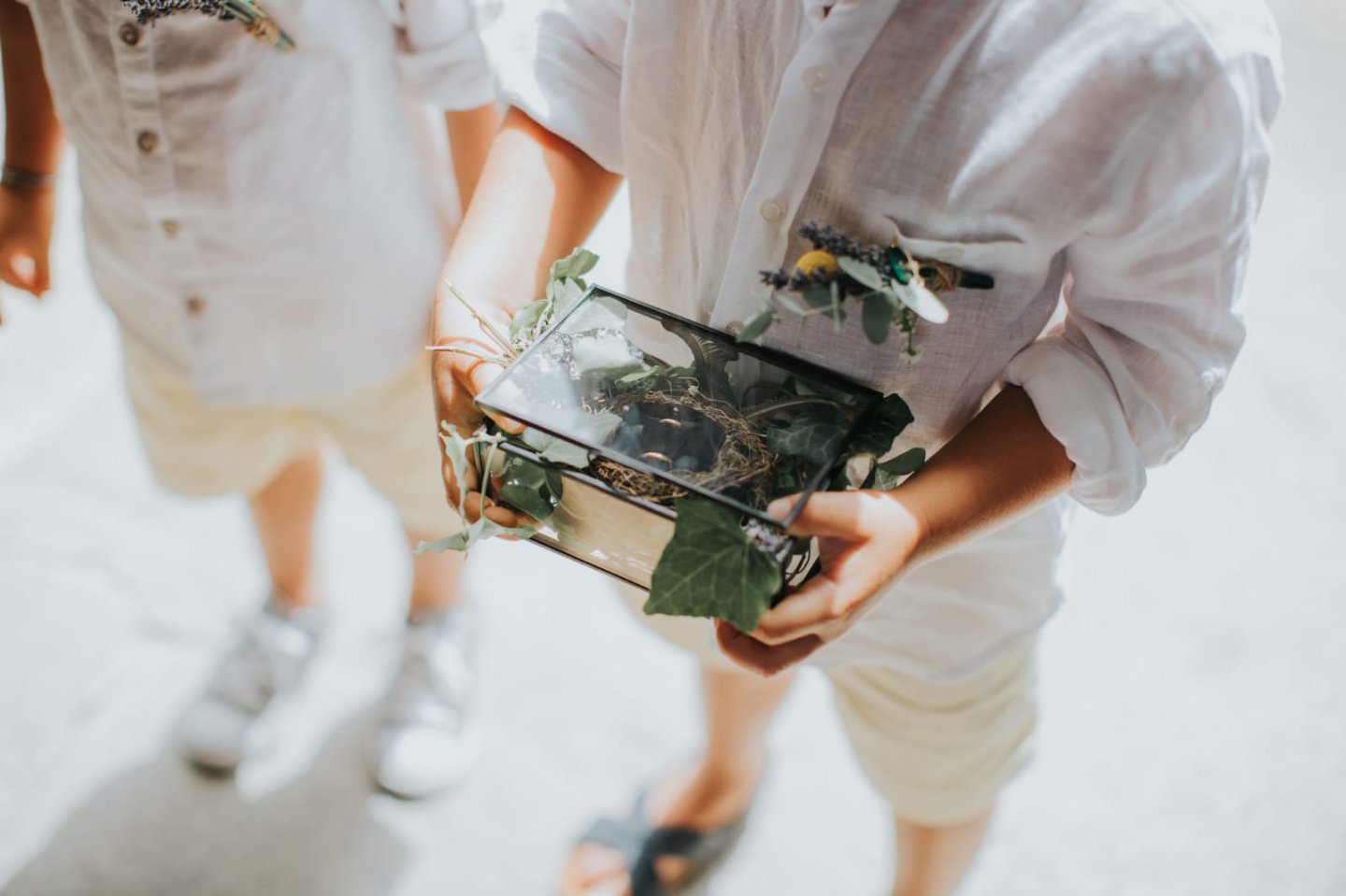 porta alianças de casamento alianças de casamento